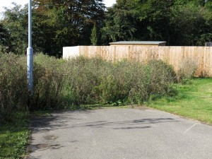 Cycle/pedestrian path going nowhere